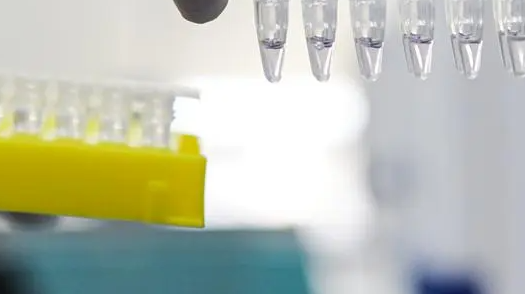 上海新增本土确诊病例13例 新增本土无症状感染者2例