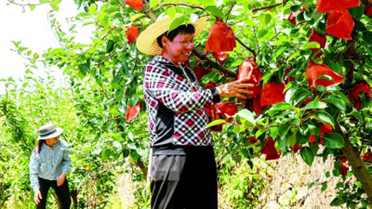 �����Ӽƻ�����ѵʵ���˲�7000����