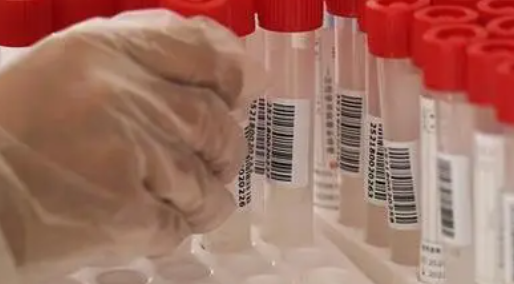 上海新增本土确诊病例4例 新增本土无症状感染者4例