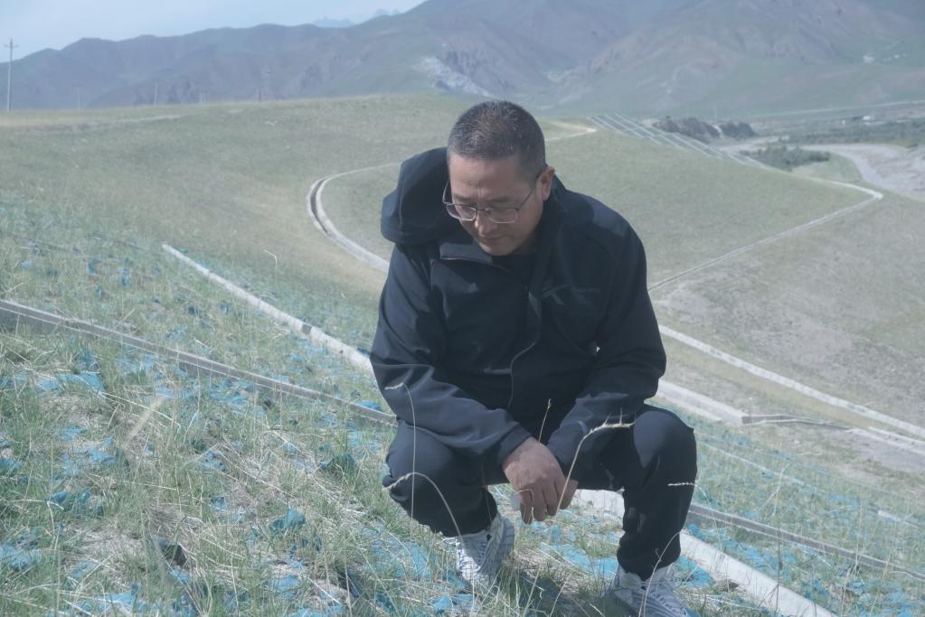 ܽ ʱΰػɽˮ÷⡪ɽຣƬ̬޸Ե۲