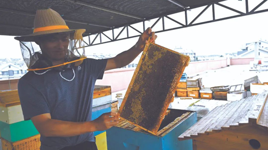 �۷��ȺҲ�ᡰ����ʧ����������¿��ܲ�ֹ�������й�