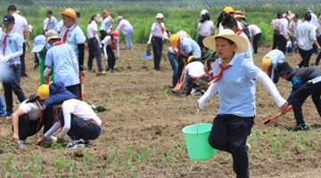 ����ǰ�ء�10���ް�æ��ũ�һ���������Ͷ�������