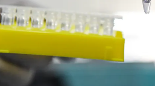 6月23日12-24时深圳新增3例新冠病毒无症状感染者