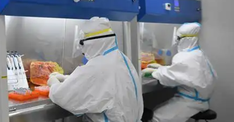 25日12-24时深圳新增3例无症状感染者 详情公布