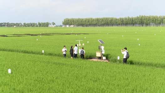 ʮζй˵ķ룿ũҵũ岿Ӧ