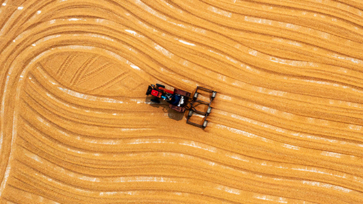 йʮũĸȫƽƶҪ͹ؼȡͻԽչ