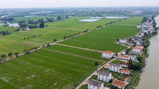 йʮحƶȡȫʤ ߳һйɫƶ·