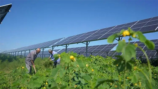 йʮحũҵɫչȡûЧ 