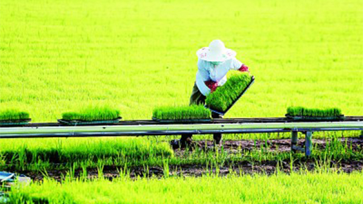 ܽ ʱΰʳȶչָ й˵