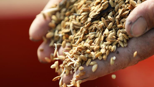 йʮζζй˵ķ룿ũҵũ岿Ӧ