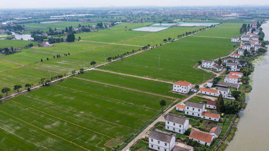 йʮũҵũ岿ʩᵵ ȡûչ