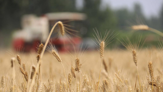 йʮحʳ7ȶ1.3ڽ ؼļزӿ