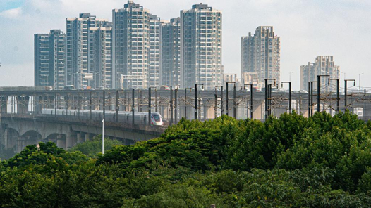 йʮҷίҹʵƼʵۺϹӰǿ