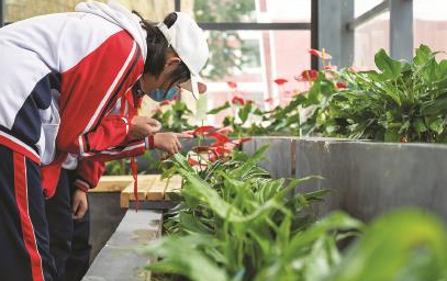 �����������ط�����ׯ԰��������������