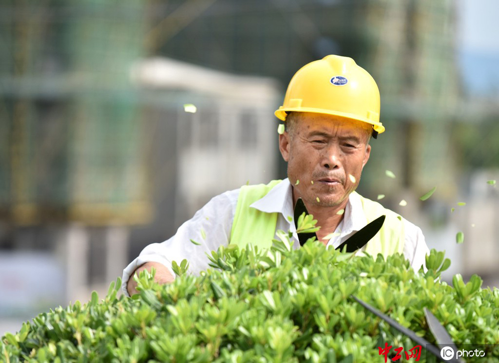 安徽巢湖园林工人技能大比武增强园林绿化精细化管养水平