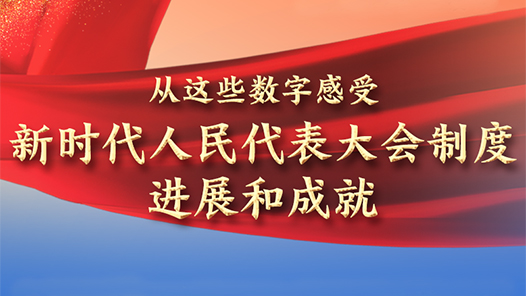 йʮحЩָʱƶȽչͳɾ