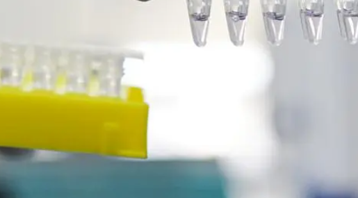 天津新增2例本土无症状感染者 均系闭环管理人员