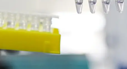 福建宁德霞浦发现1例核酸初筛阳性