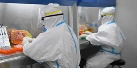 29+227 安徽泗县3日新增阳性病例256例