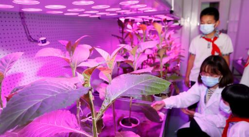 �߽����տ��� ̽���������