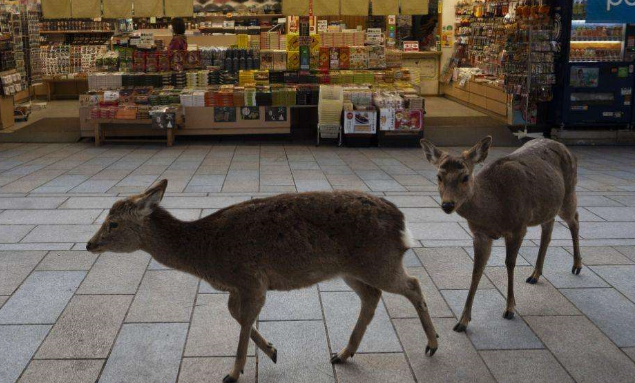 ���������٣����С�Ұ�����񡱹���զ��