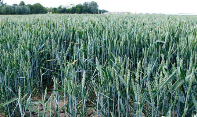 ��С���������ˮ���һ������е��� ר�����ѣ�������Լ����