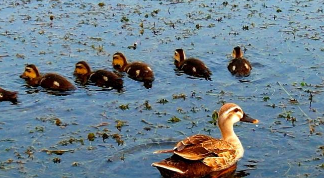 �����ʪ��ȫ����Ϊ������ ȫ��Ϊ������