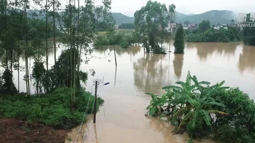 ̨�硰�߰š��±���һ������������ �侯�ٱ��ɹ����