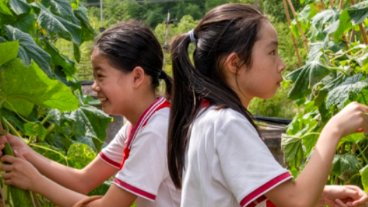 ��ְ��ۻ�顿�Ͷ�����������߹����� �ڴ�ְҵ����������Զ