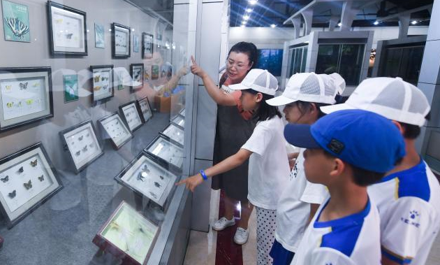 �㽭�ٰ����������������ڿ�������Ӫ