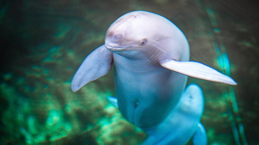 ��F9C22������ã����һ�ӭ��