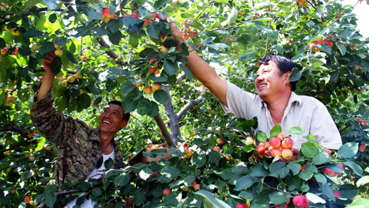 ܽ ʱ߽حСɳ72䡱ؿ¸·