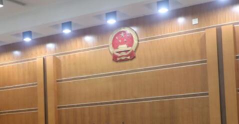 �㶫���۷�Ժ�״β���������˺���ͥģʽ������������