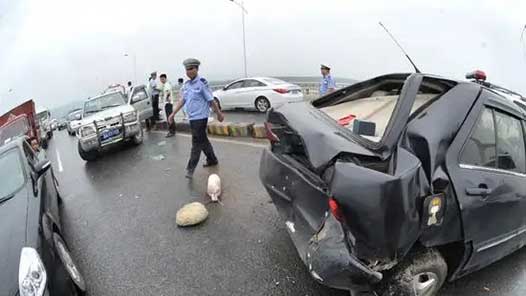 ɽ������һ���������Ⱥ��5��6��