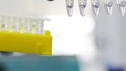 �������������ֺ������쳣������ڲ��ֵֽ���չȫԱ����ɸ��