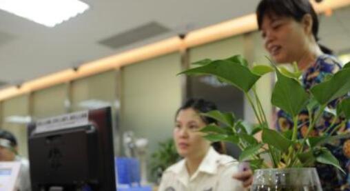 ������������Ա�ںϷ������ߺ����ͯ���������ϵ�л����