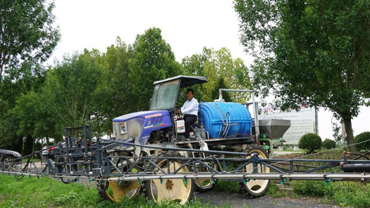 ���������ֺ����������������ж�