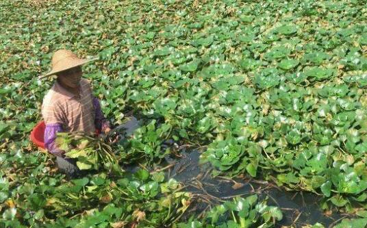 ��ҵ�����ã���Ķ���ʢ