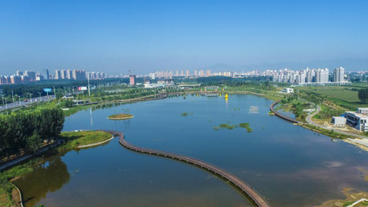 Я�ֺǻ�ĸ�׺ӡ����ƺ�����ʡ�ʺ�����̬��������ʵ��