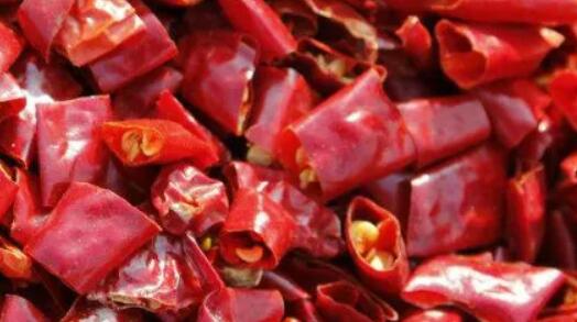 �㶫������һ����Ѭ����������ɻ���