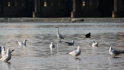 �Ĵ�����������ˮ�ӡ�������������