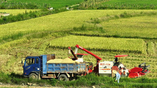 �絾Ʈ���ո�æ