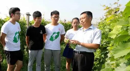 �����硢�����硢ת���� ��ѧ�����ʵ����������ò