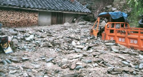 ������������ǿ���� ������������