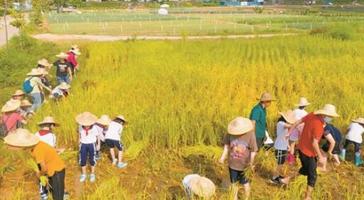 ��ݸѧ���߽���� �����Ͷ�������Ϳ���