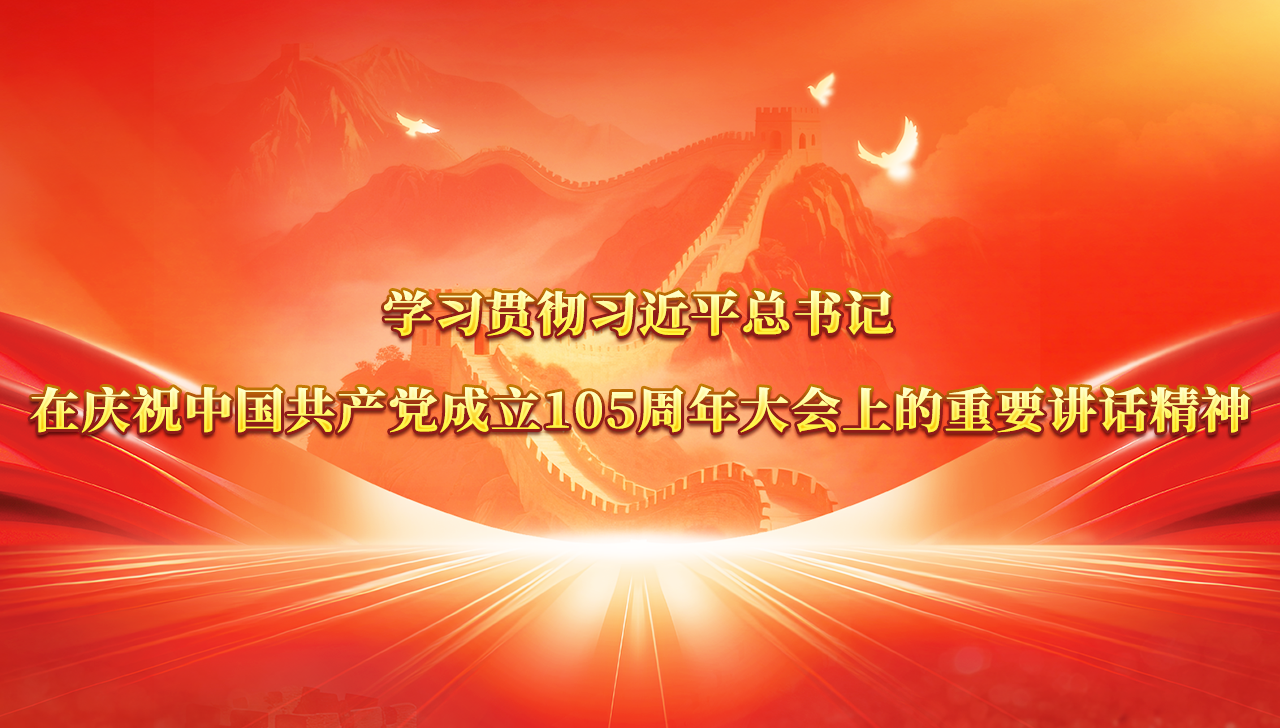 学习贯彻习近平总书记在庆祝中国共产党成立105周年大会上的重要讲话精神