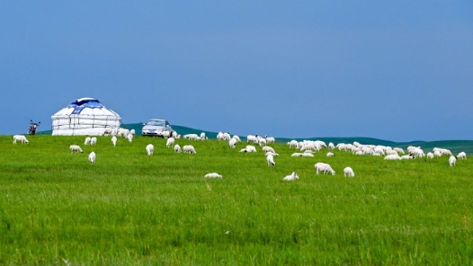 出席十四届全国人大二次会议的内蒙古代表团抵京