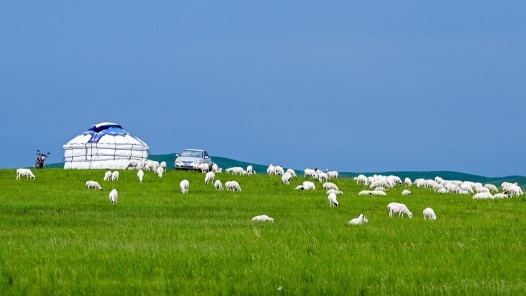 喜迎二十大｜内蒙古：大力营造担当作为干事创业新态势