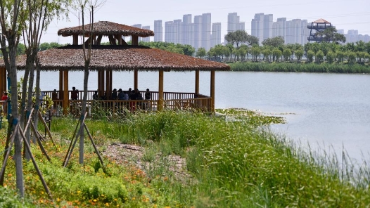 生态环境部：我国地表水优良比例已接近发达国家水平 土壤环境质量发生了基础性变化