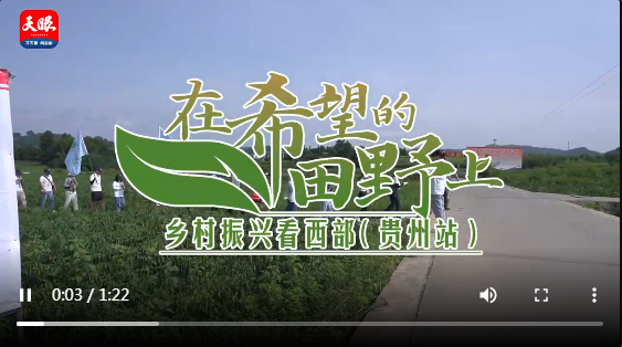 QQ截图20220717150636